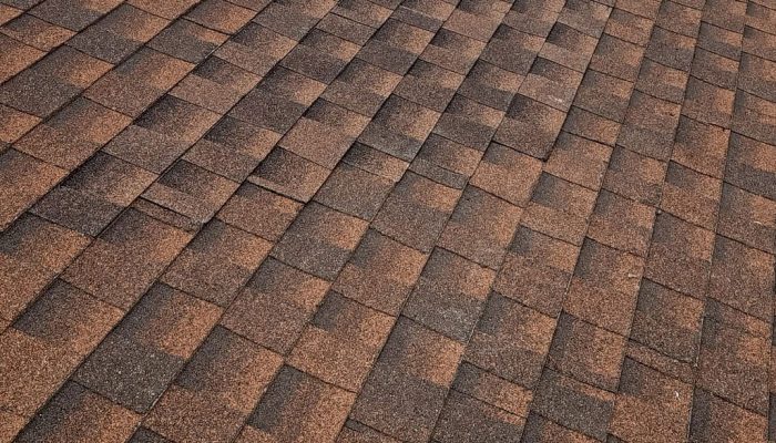 SHINGLE Roof repair
